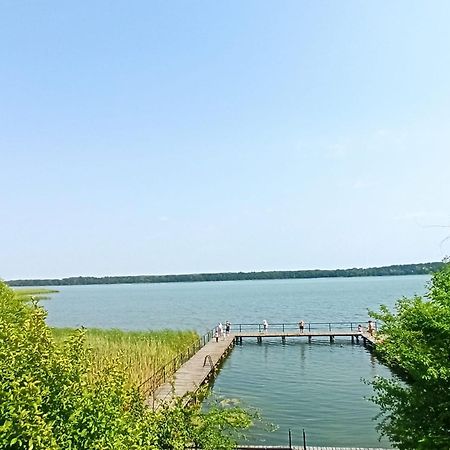 Apartament Moje Dabrowno 外观 照片