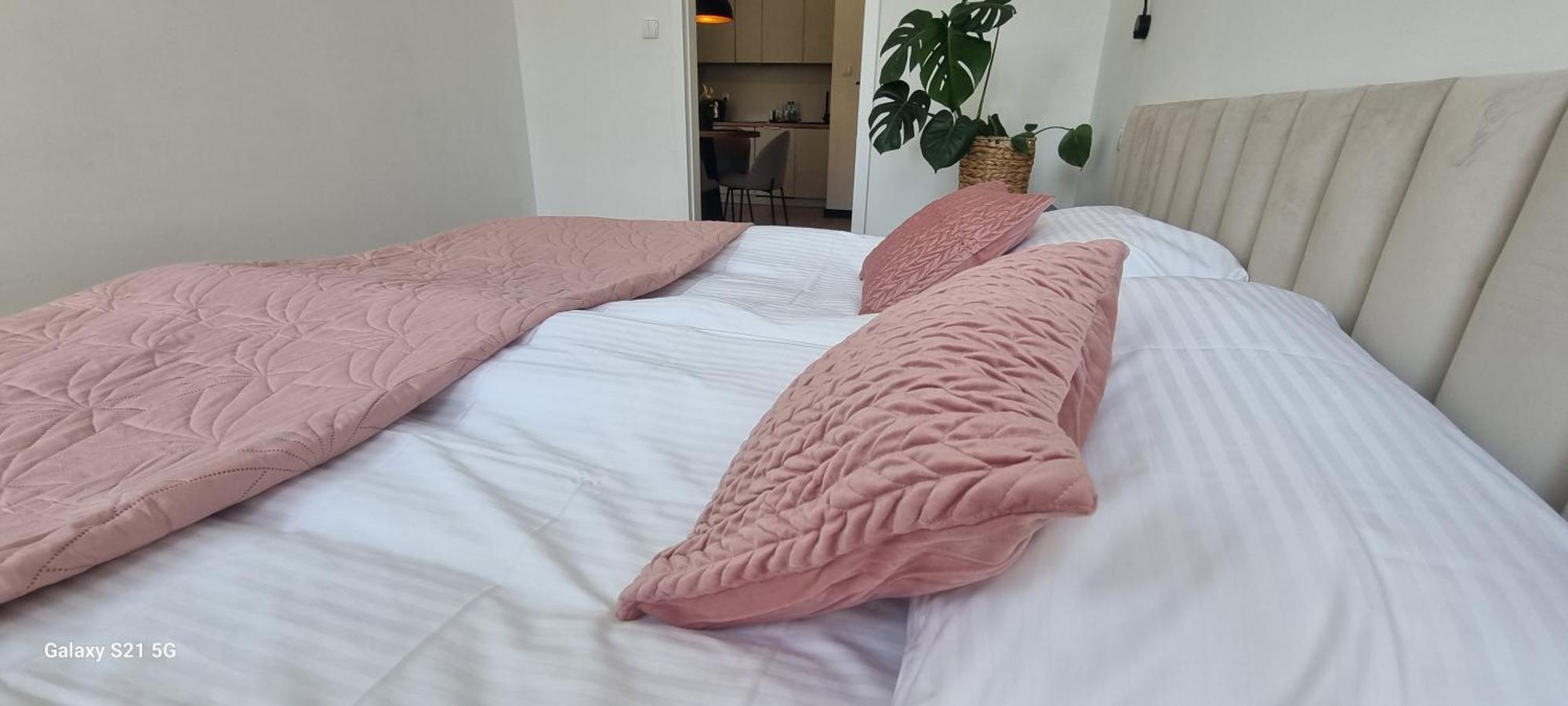 Apartament Moje Dabrowno 外观 照片